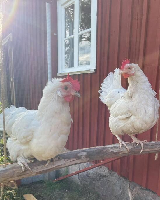 Gamla Ersgarden I Ersmark Umeå Kültér fotó